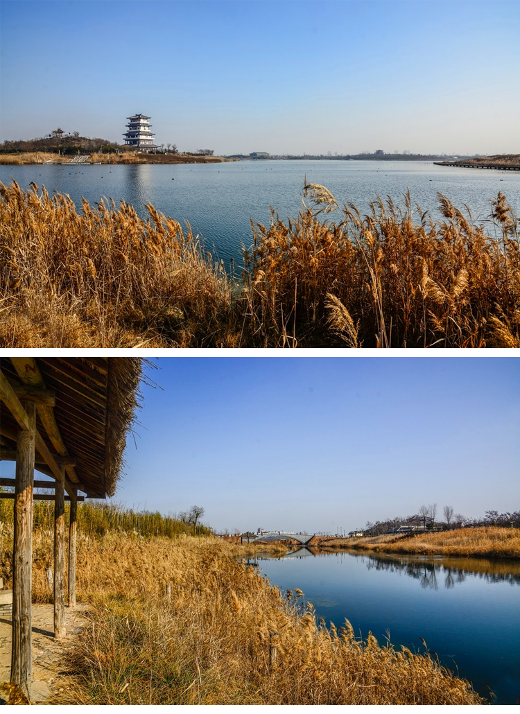 【巴厘島溫泉 】滷陽湖 國家溼地公園1日遊